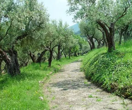 Vecchia Hotel Monte Porzio Catone
