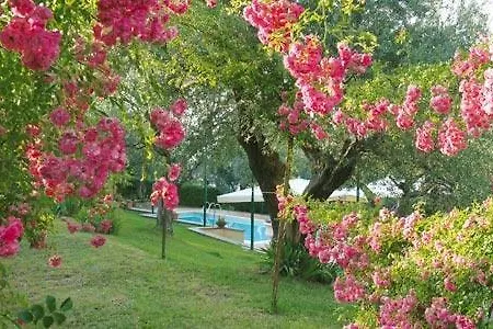 Vecchia Monte Porzio Catone