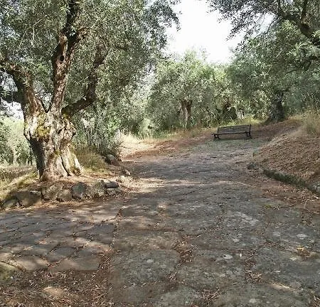 Vecchia 4*
