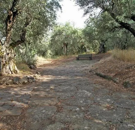 Vecchia 4* Monte Porzio Catone